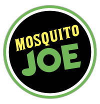 Mosquito Joe